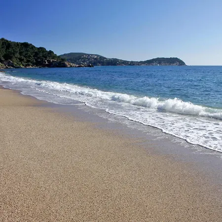A Deux Pas De La De Sable Appartamento Le Pradet